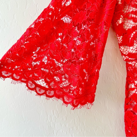 Arrogant Cat London Red Crochet Lace Bodycon Dress, Size 10, Excellent Condition - Picture 4 of 12